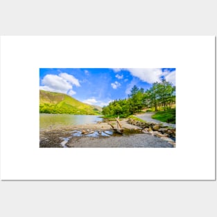 Buttermere Panorama With Driftwood Posters and Art